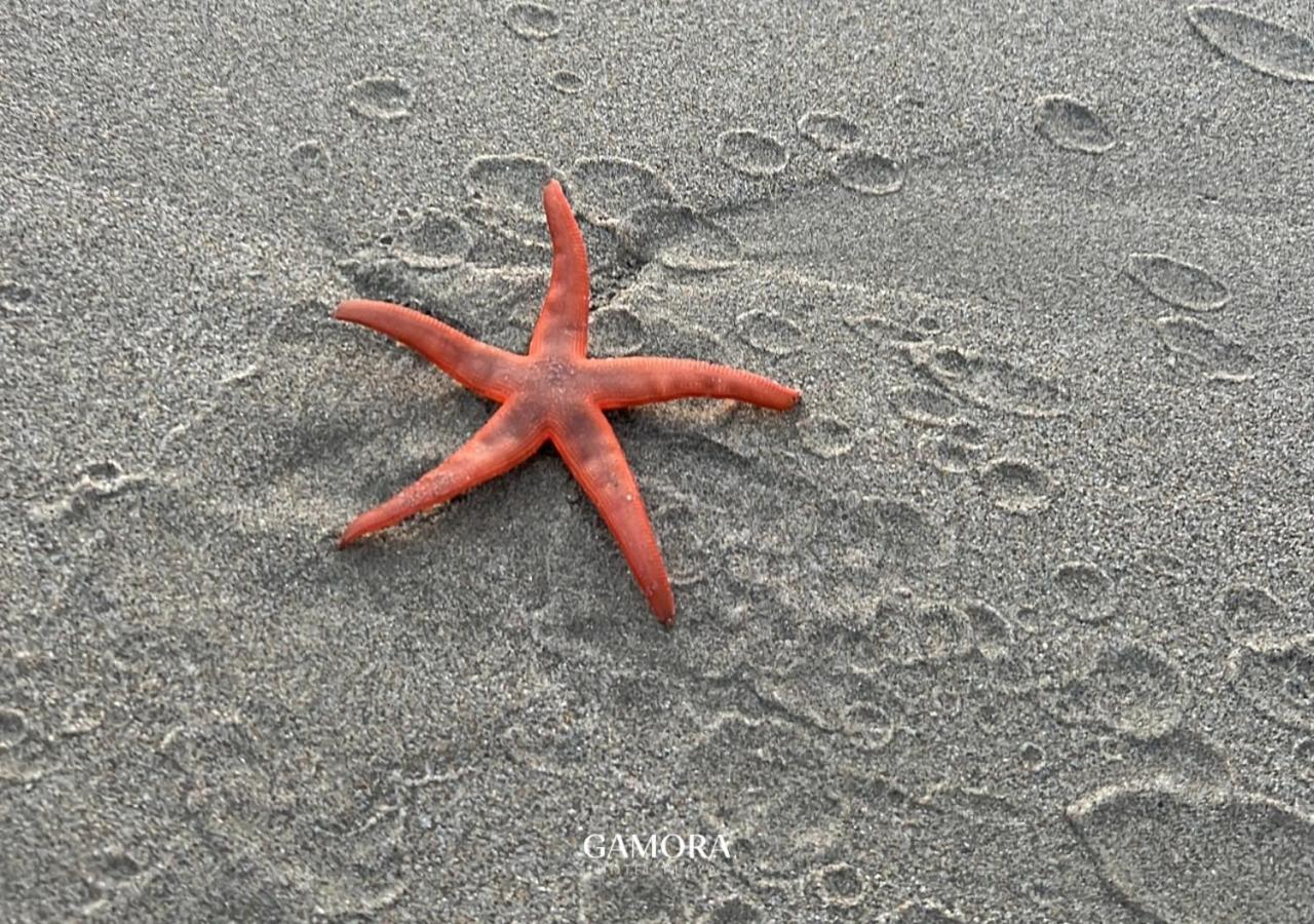 Gamora Hotel Playa Los Órganos Zewnętrze zdjęcie